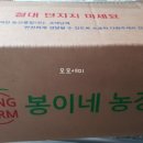 봉이네농장 이미지