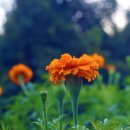 대한행정사무소 이미지