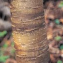 웰빙한의원 이미지