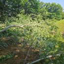 한백륜 묘역 이미지