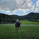 경도농장 | 전북 아이랑 가볼만한 곳 초원을 달리는 승마카페 정읍 와일드필드커피 정읍 말카페