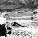 풍경(風景) 이미지