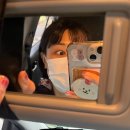 보담브로우
