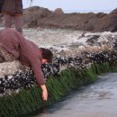 천진낭만 이미지