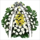 진황도로 61길 이미지