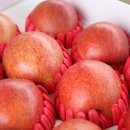 김동협 농장 이미지