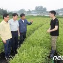 김선영농장 이미지