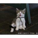 빈이농장 이미지