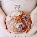 자연 발효빵 - 우리 밀로 간단하게 구워내는 건강 발효 빵 레시피 이미지