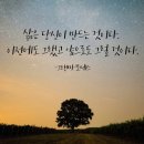 미국 대선을 앞둔 세계+ 민주주의는 어디로? | 25년 9월 이야기, 1일은 노랑망태버섯이 드레스를 곱게 차려 입고 내 눈앞에 나타난 걸 보니 첫날부터...