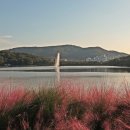 율동공원 Daum카페