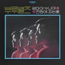 부루벨즈 [엄마야 누나야／전장에 피는 꽃] (1974) 이미지