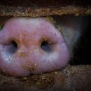 누가한의원 이미지