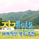 옥천관광안내소 | 옥천 장계관광지 아이와 가볍게 둘러본 후기,가기 전 궁금했던 것들