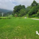 베뉴지CC 이미지