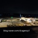 인싸이트