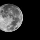 대지-2010 이미지