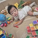 금광동물병원 이미지