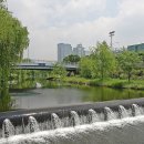 매탄권선역 5번 출구 이미지