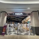 몰리스펫샵 스타필드시티 위례점 이미지