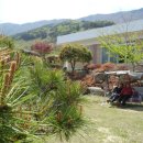 진달래펜션 이미지