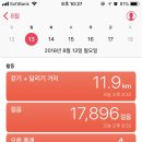러쉬(Rush)