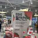 조아물산