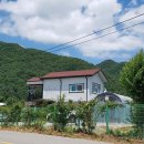 금관사과향기 이미지