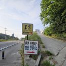 윈펜션 | 강릉 사천 해수욕장 가족숙소 추천 윈팰리스 펜션 A402호 후기
