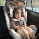장안세탁 | 수원 카시트 세탁비용 합리적인 총알배송 91클린 추천!