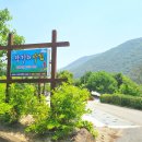 단양팔경펜션민박 | 단양독채펜션 강가의아침 남한강 뷰가 환상적인 가성비 숙소 후기