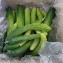 민숙농장 이미지