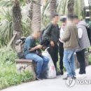 제주다반사 이미지