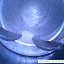 오토오아시스홈플러스안동점 이미지