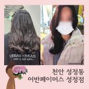 천안어반스테이성정점 | 천안 레이어드컷 셋팅펌 성정동 미용실 추천 어반페이머스 성정점