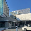 레몬비 병무청점 | 광주 가볼만한곳 이이남스튜디오 갤러리카페 내돈내산 메뉴 가격 전시 포토존 주차 총정리