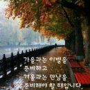 다빈 Daum카페