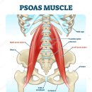하루 피트니스 이미지