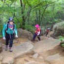 화북면사무소 이미지