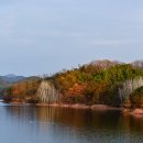 오리한마리 이미지