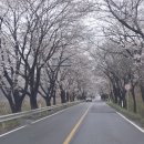 천태산로 이미지