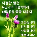 오빠 아저씨 할배 감별법 이미지