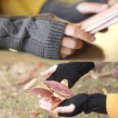 두리장갑 이미지