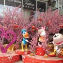 코스타몰 이미지