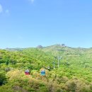 레일파크(161)(33048) | 2026년 여행가는달 - 경상도 -