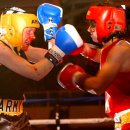 신은철복싱월드 이미지