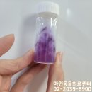 마인동물의료센터 이미지