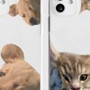 간지나 개 이미지