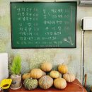 신흥잔치국수 네이버블로그