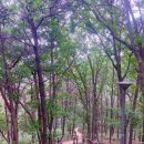 지산공원 이미지